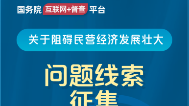 日皮91软件国务院“互联网+督查”平台公开征集阻碍民营经济发展壮大问题线索